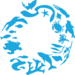 international coastal cleanup day icon logo
