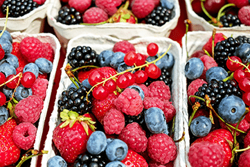 berries in punnetts | eco healthy eating | Peace Evolution