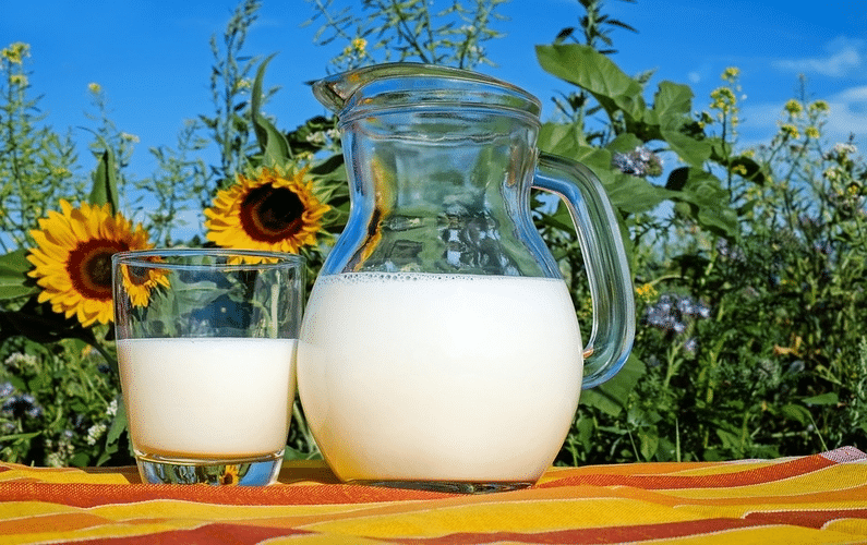 glass and jug of milk in sunflower field | health problems | Peace Evolution