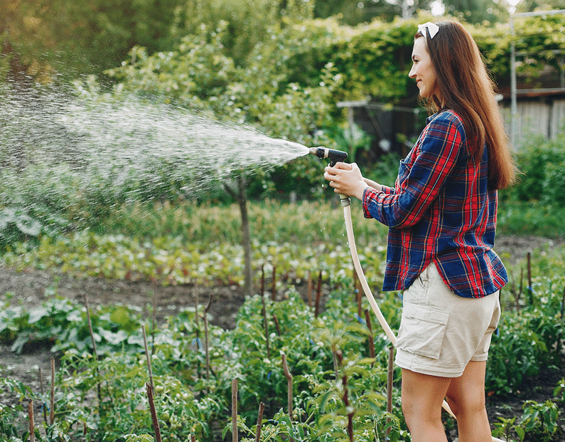 hand watering veggie garden | eco friendly | Peace Evolution