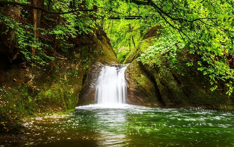 introducing healthy sustaining life on earth water | healthy sustaining life | Peace Evolution