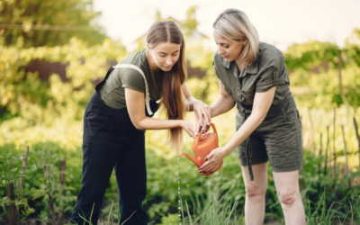 3 Key Benefits: Eco Friendly Living & Eco Friendly Lifestyle