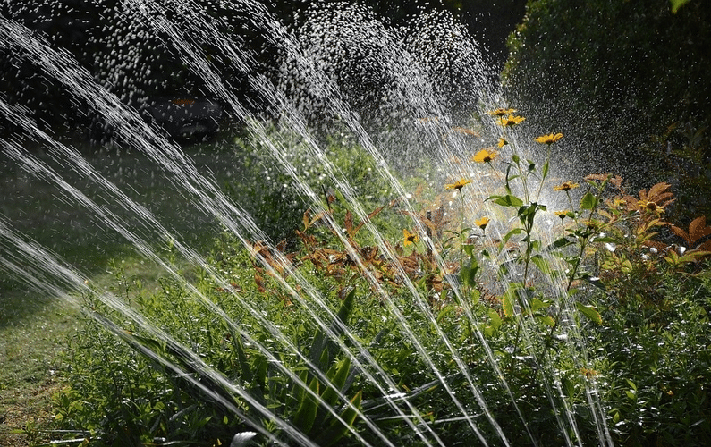 watering flower garden | Peace Evolution