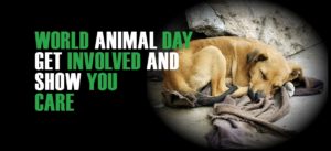 world animal day get involved and show you care | world animal day | Peace Evolution