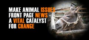 world animal day make animal issues front page news | world animal day | Peace Evolution