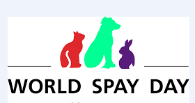 World Spay Day | world spay day | Peace Evolution