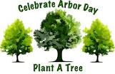what is arbor day plant a tree | what is arbor day? | Peace Evolution
