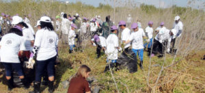 world wetlands day people | world wetlands day 2019 | Peace Evolution