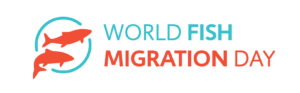world fish migration day logo