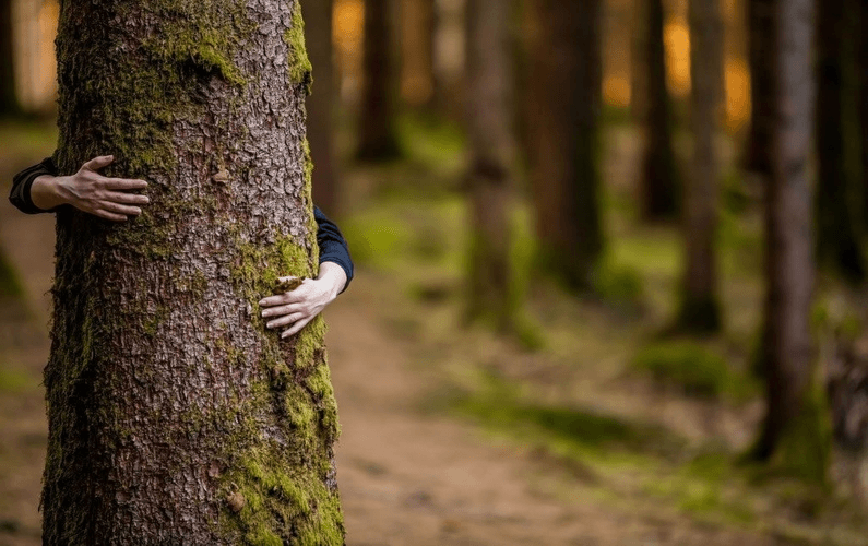 international day of forests hugging tree