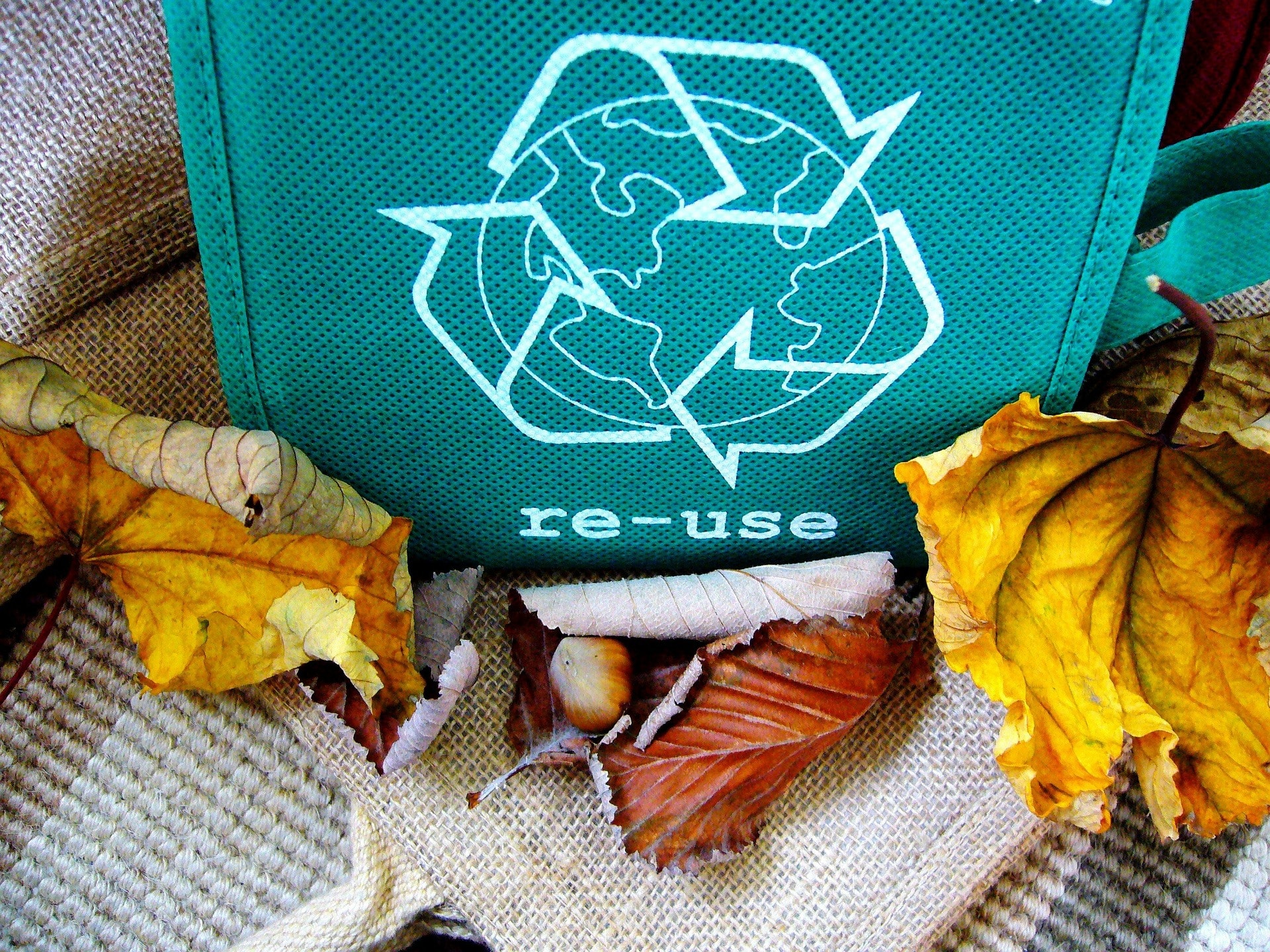 global recyling day featured image