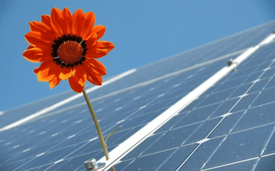 Going solar: How to use the sun to power your home