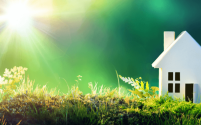 Is green and eco friendly living viable?
