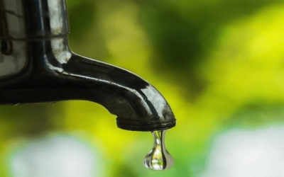 Easy Tips To Save Water Right Now
