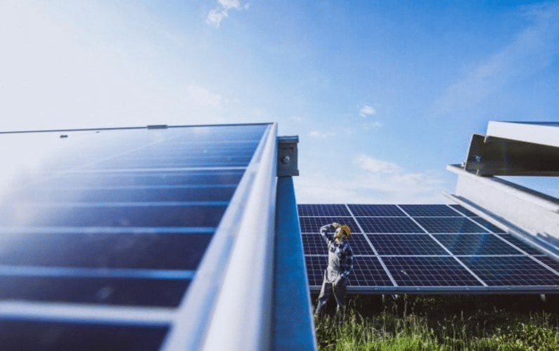 photovoltaic solar electricity man worker field of solar panels | Peace Evolution